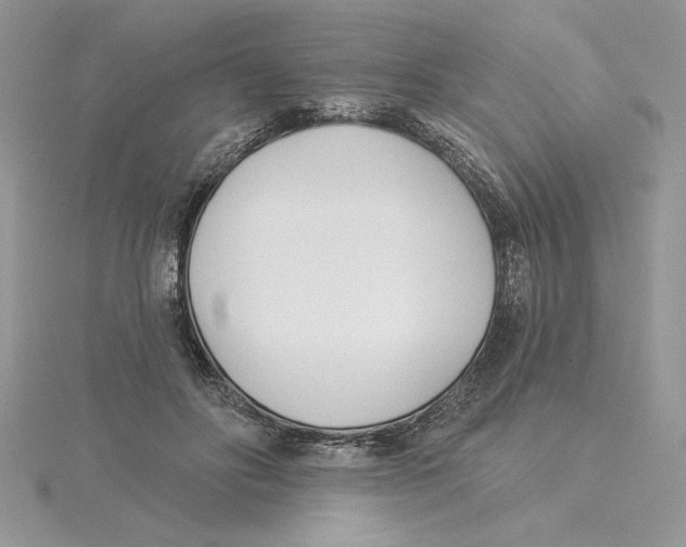 X0000114550502200911161421