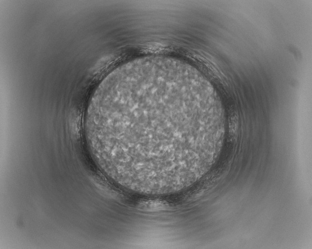 X0000114550503200911161421