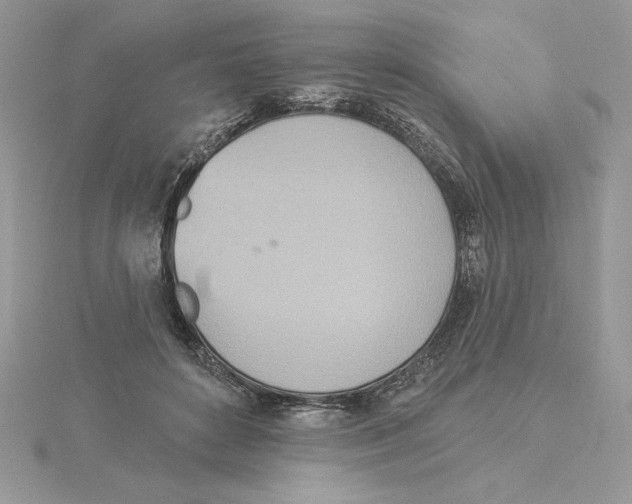 X0000114550504200911161421