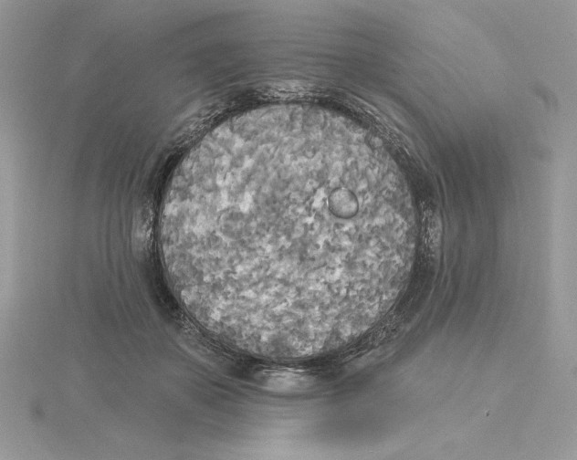 X0000114550507200911161421