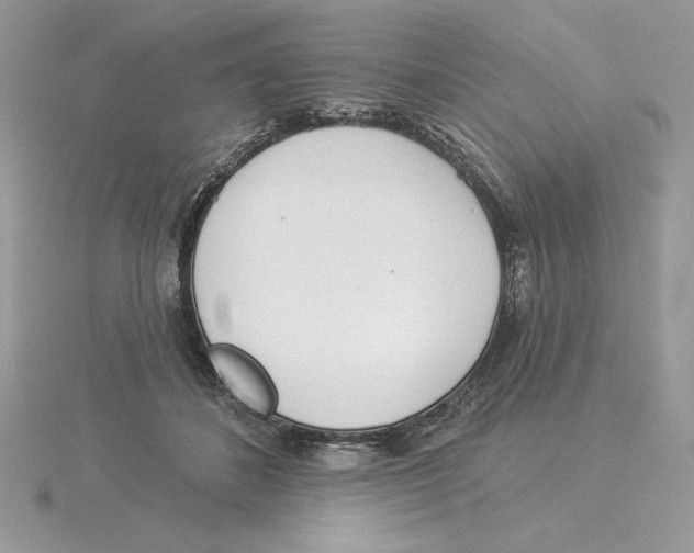 X0000114550508200911161421