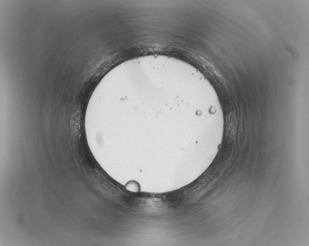 X0000114550509200911161421