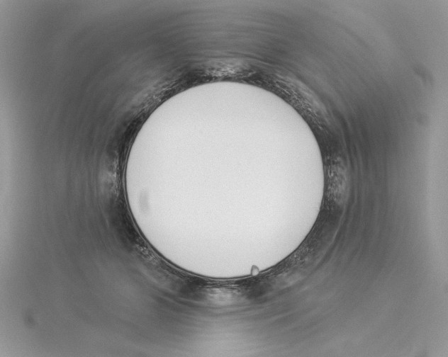 X0000114550510200911161421