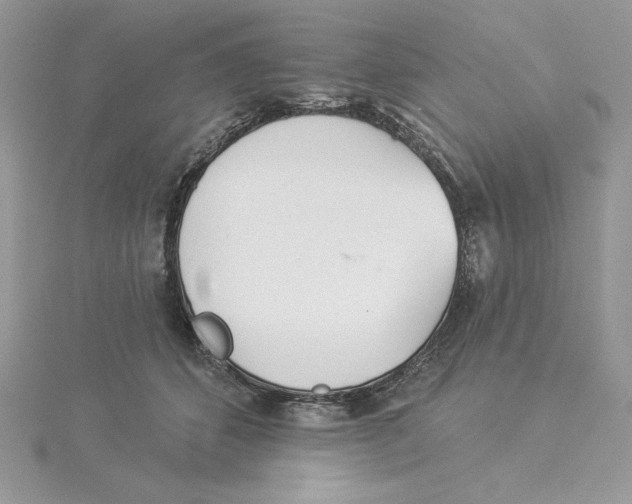 X0000114550512200911161421