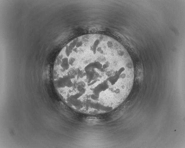 X0000114550519200911161421