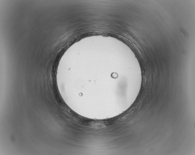 X0000114550520200911161421