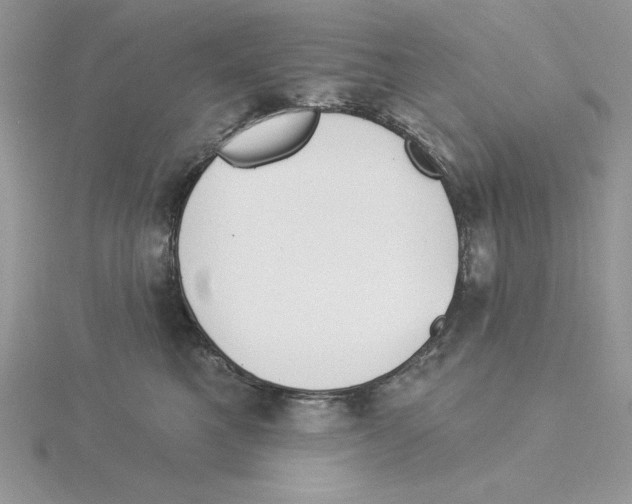 X0000114550521200911161421