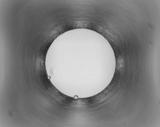 X0000114550522200911161421