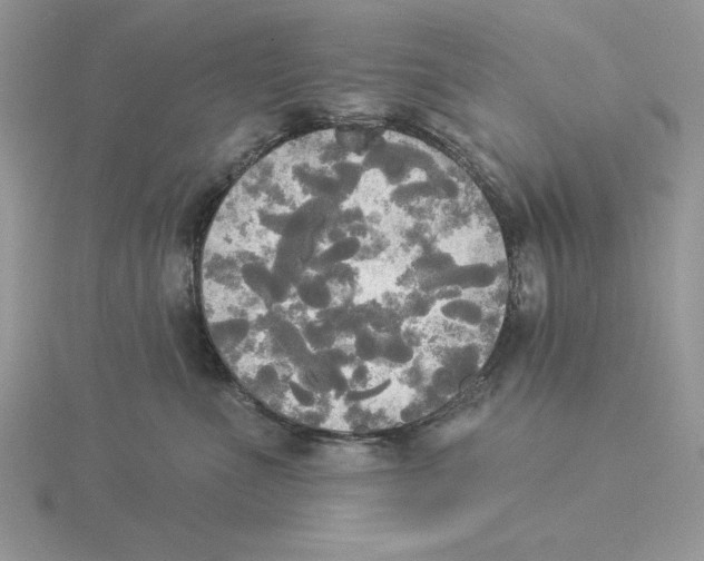 X0000114550523200911161421