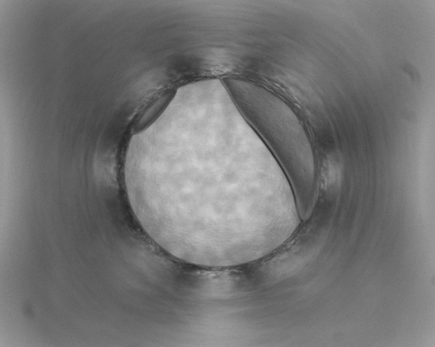 X0000114550524200911161421