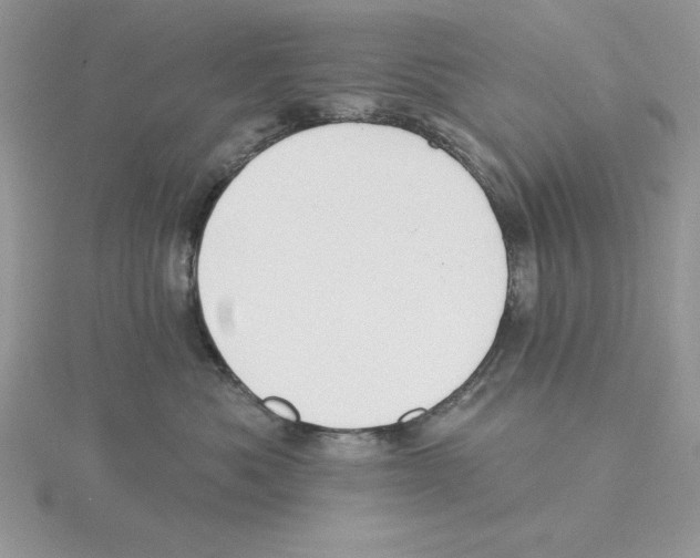 X0000114550525200911161421