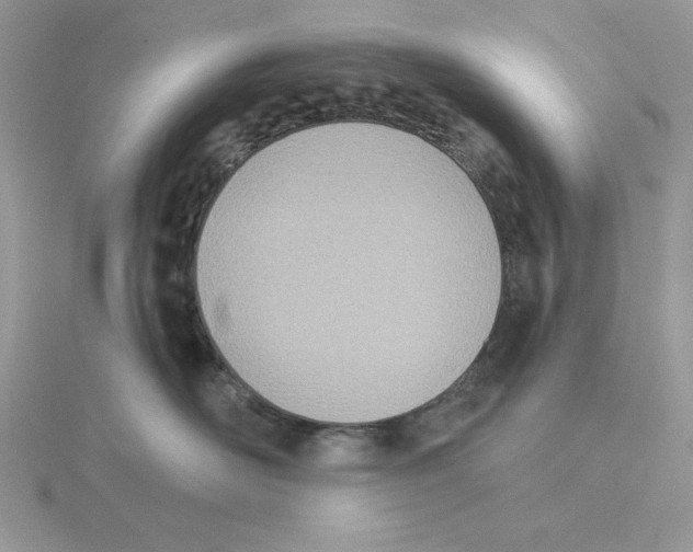 X0000114550526200911161421