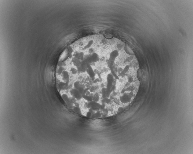 X0000114550527200911161421