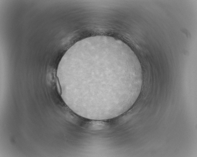 X0000114550528200911161421