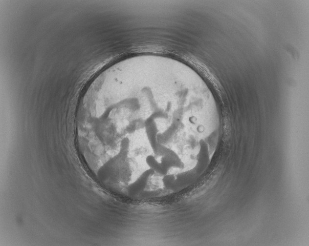 X0000114550529200911161420