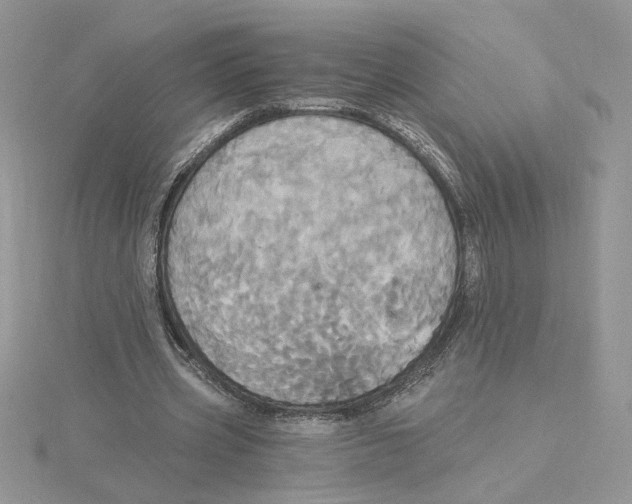 X0000114550533200911161420