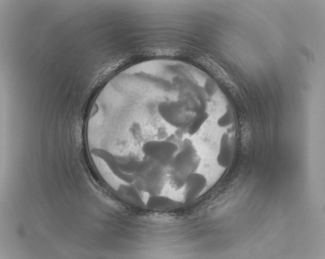 X0000114550537200911161420