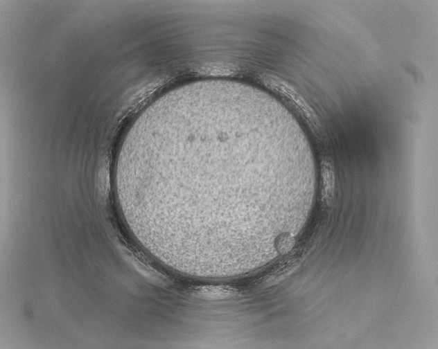 X0000114550541200911161420