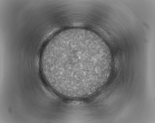 X0000114550542200911161420