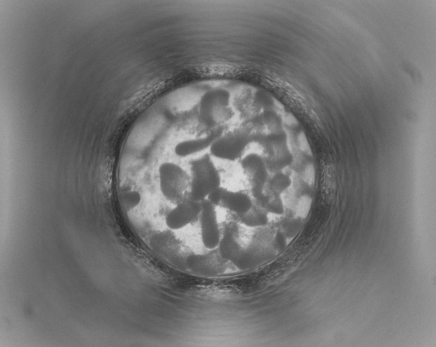 X0000114550545200911161421