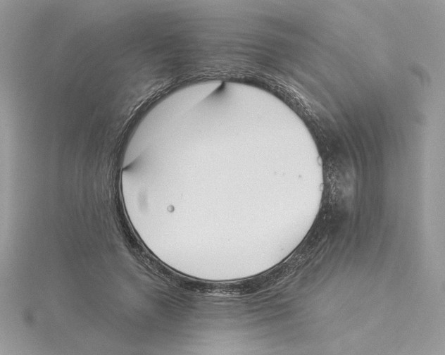 X0000114550546200911161421