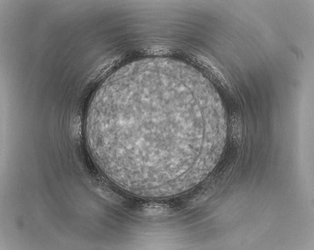 X0000114550549200911161421