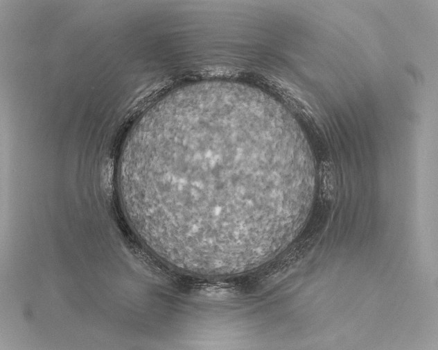 X0000114550550200911161421