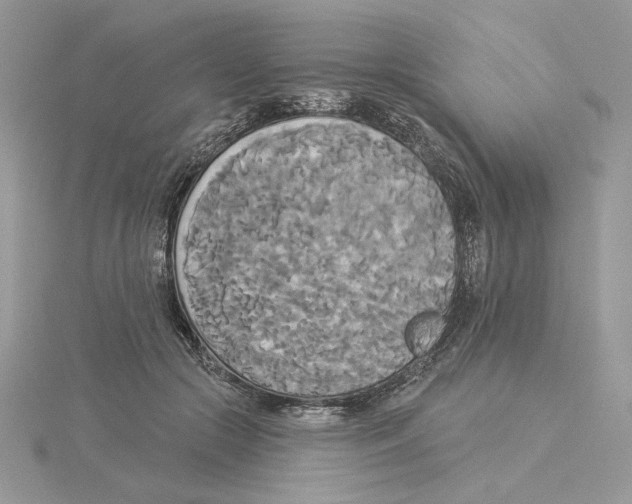 X0000114550553200911161421