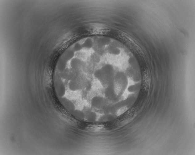 X0000114550554200911161421