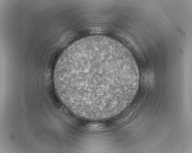 X0000114550557200911161421