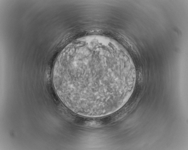 X0000114550561200911161421