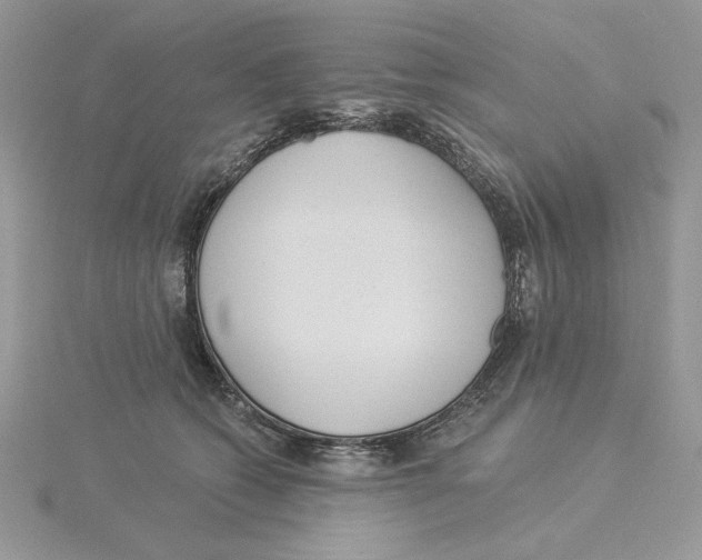 X0000114550562200911161421