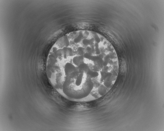 X0000114550569200911161421