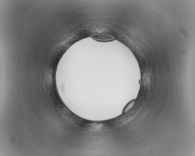 X0000114550570200911161421