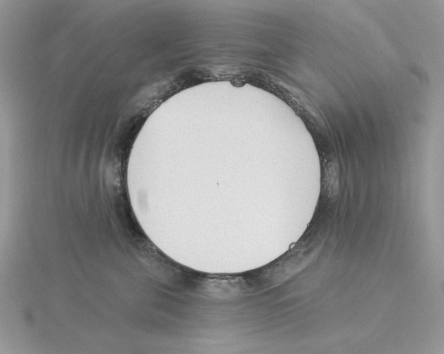 X0000114550571200911161421