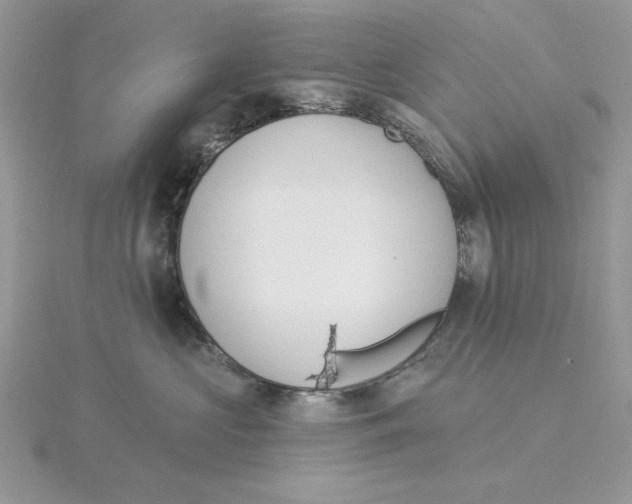 X0000114550573200911161421