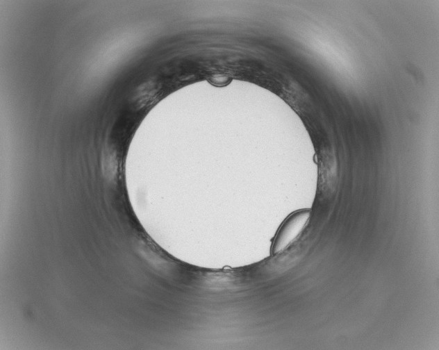 X0000114550574200911161421