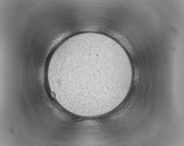 X0000114550578200911161420