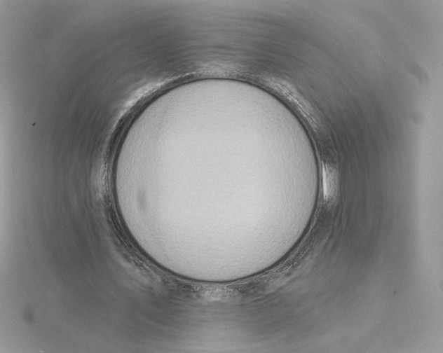 X0000114550579200911161420