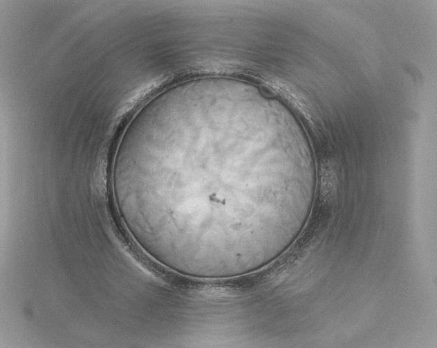 X0000114550581200911161420