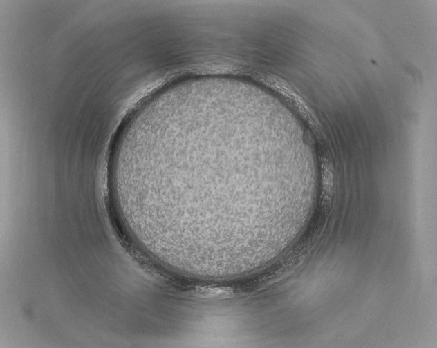 X0000114550582200911161420