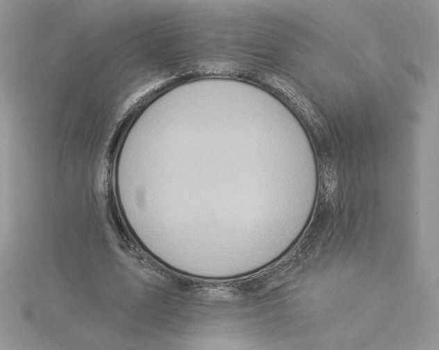 X0000114550583200911161420