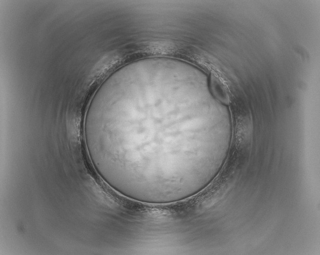 X0000114550585200911161420