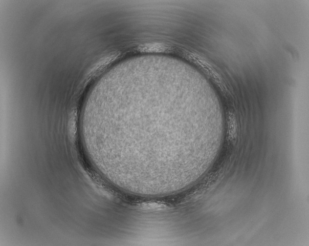 X0000114550586200911161420