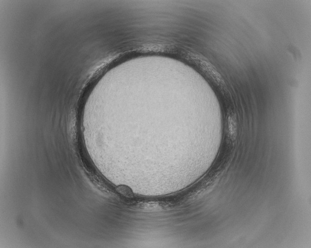 X0000114550588200911161420