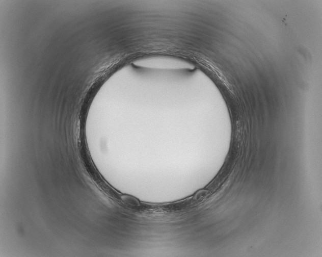 X0000114550589200911161420