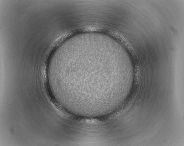 X0000114550590200911161420