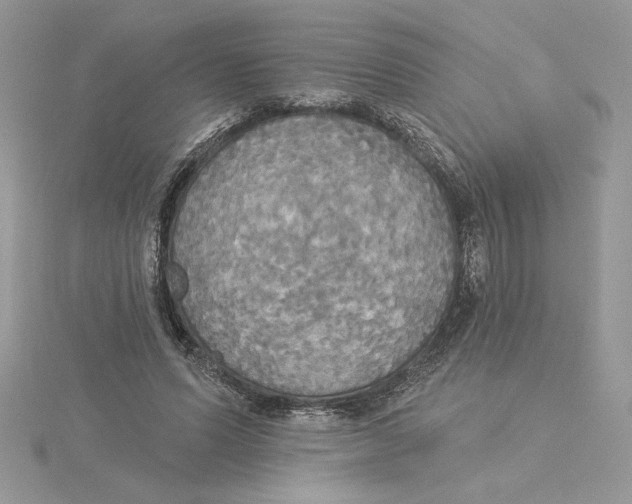 X0000114550591200911161420