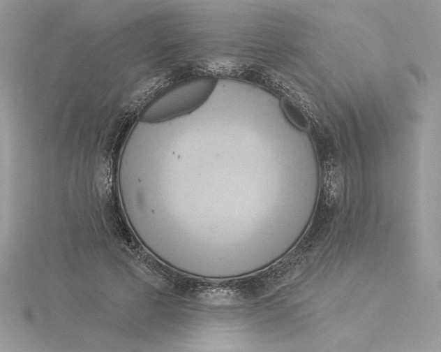 X0000114550593200911161420