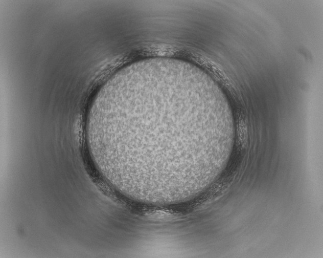 X0000114550594200911161420